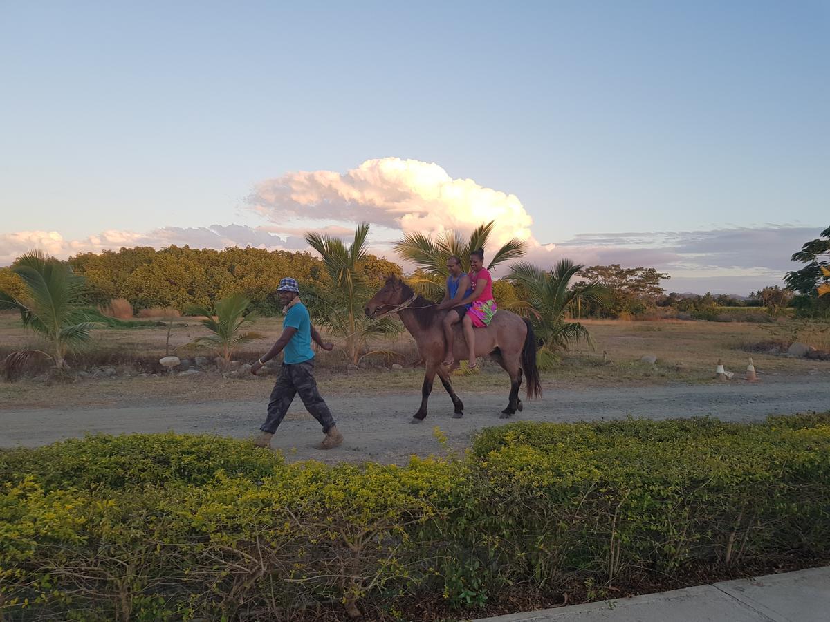 Bayview Cove Resort Nadi Exteriör bild